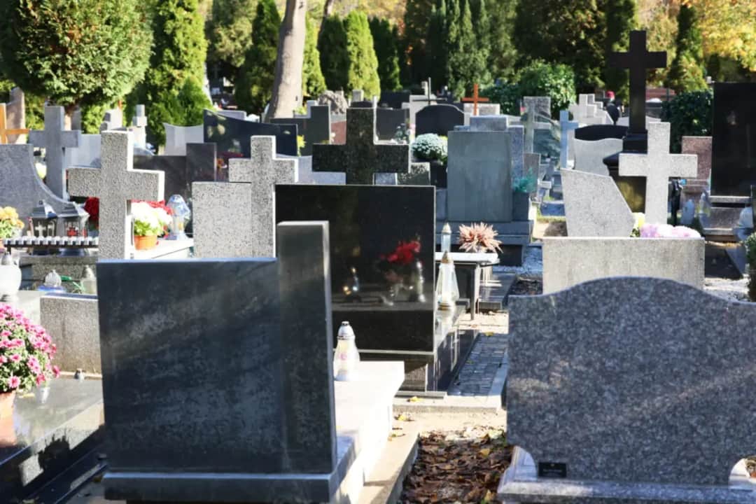 Jak dojechać na Cmentarz Północny - uniknij problemów z dojazdem