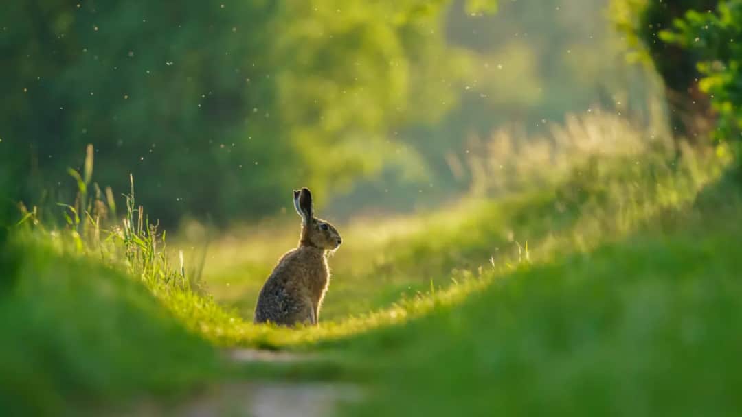 Gdzie jechać na Wielkanoc? Odkryj wyjątkowe miejsca na święta