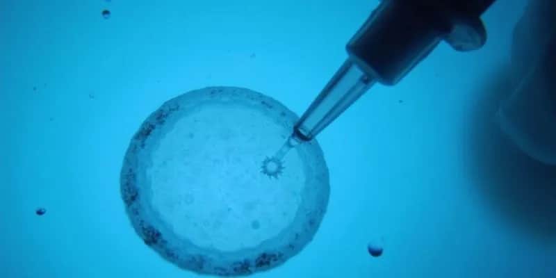 Czy in vitro to grzech? Moralność i kontrowersje w Kościele katolickim