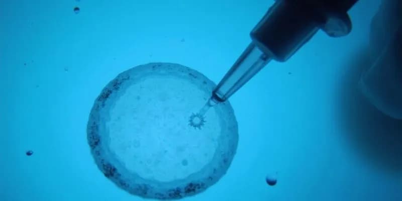 Czy in vitro to grzech? Moralność i kontrowersje w Kościele katolickim