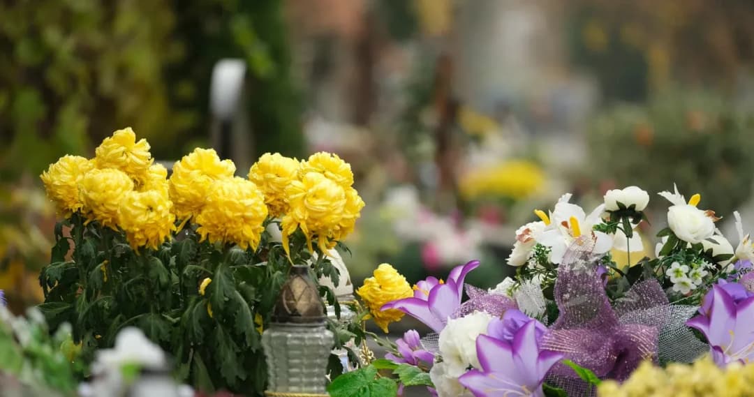 Jakie kwiaty na cmentarz latem, które przetrwają upały i zachwycą?