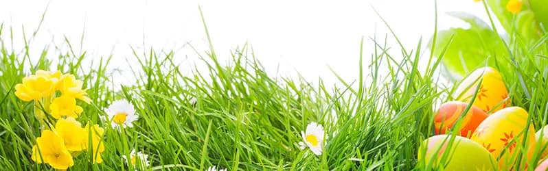 Co na wielkanoc? Tradycyjne potrawy, które musisz znać