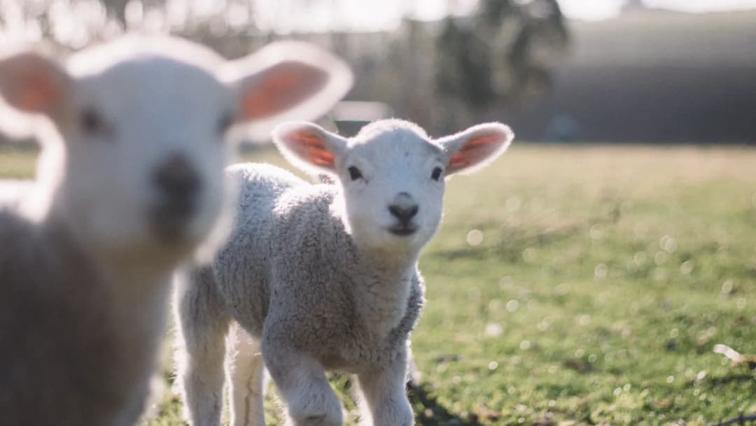 Od czego zależy kiedy wypada wielkanoc? Odkryj tajemnice daty tego święta