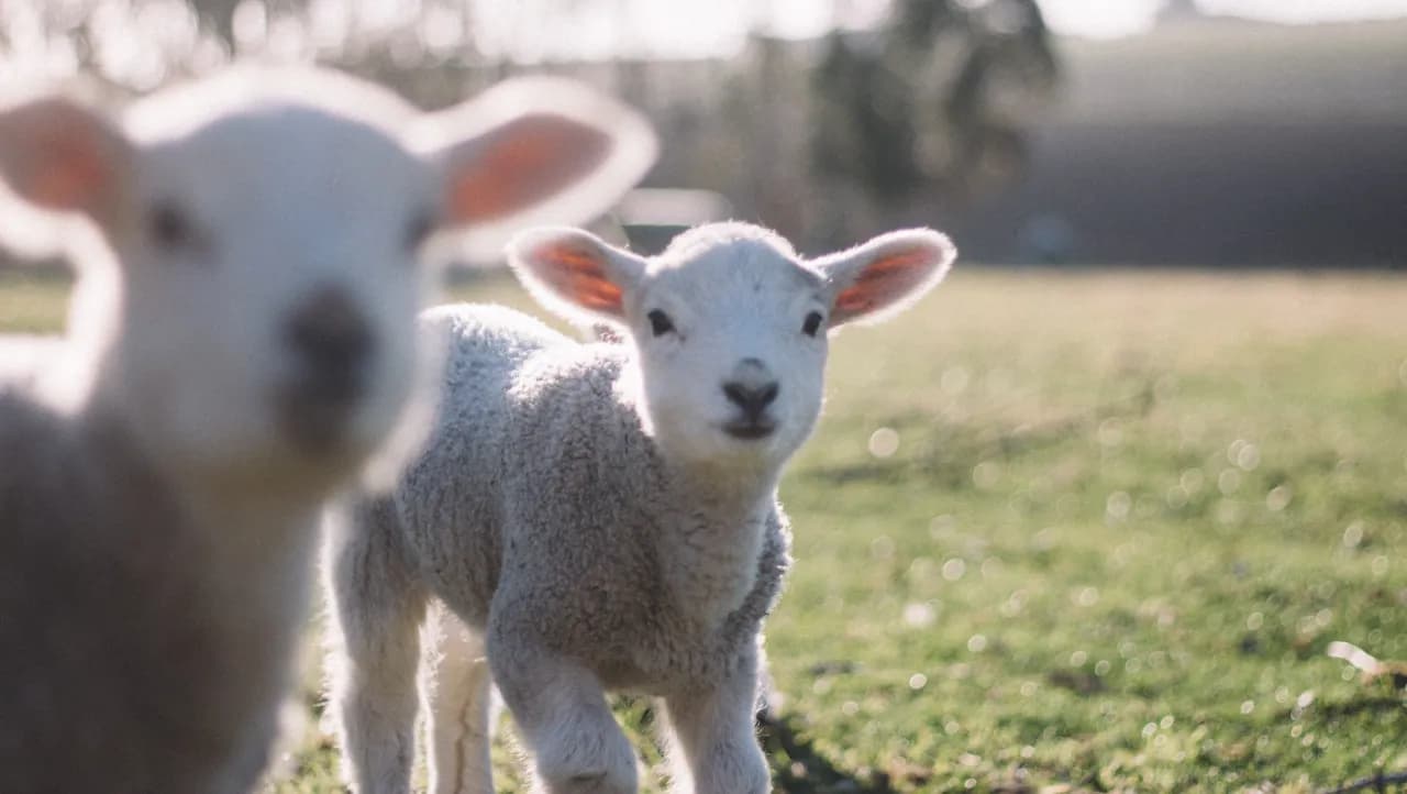 Od czego zależy kiedy wypada wielkanoc? Odkryj tajemnice daty tego święta