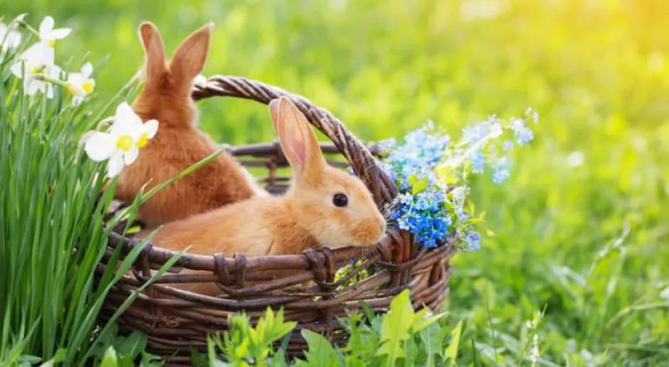 Dlaczego wielkanoc to święto ruchome? Odkryj tajemnice daty świąt