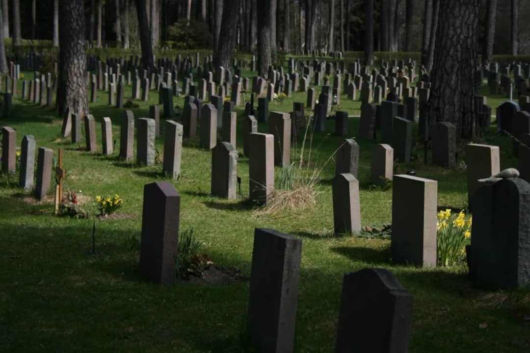 Ile kosztuje miejsce na cmentarzu na Wólce Węglowej? Ceny i szczegóły