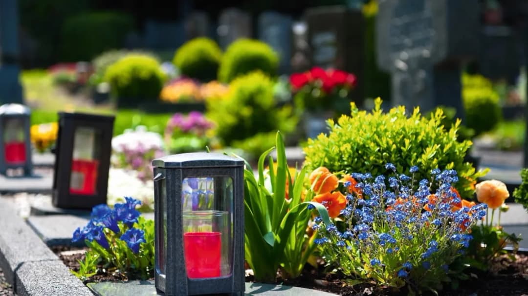Jakie kwiaty posadzić na cmentarzu, aby uczcić bliskich i zadbać o grób