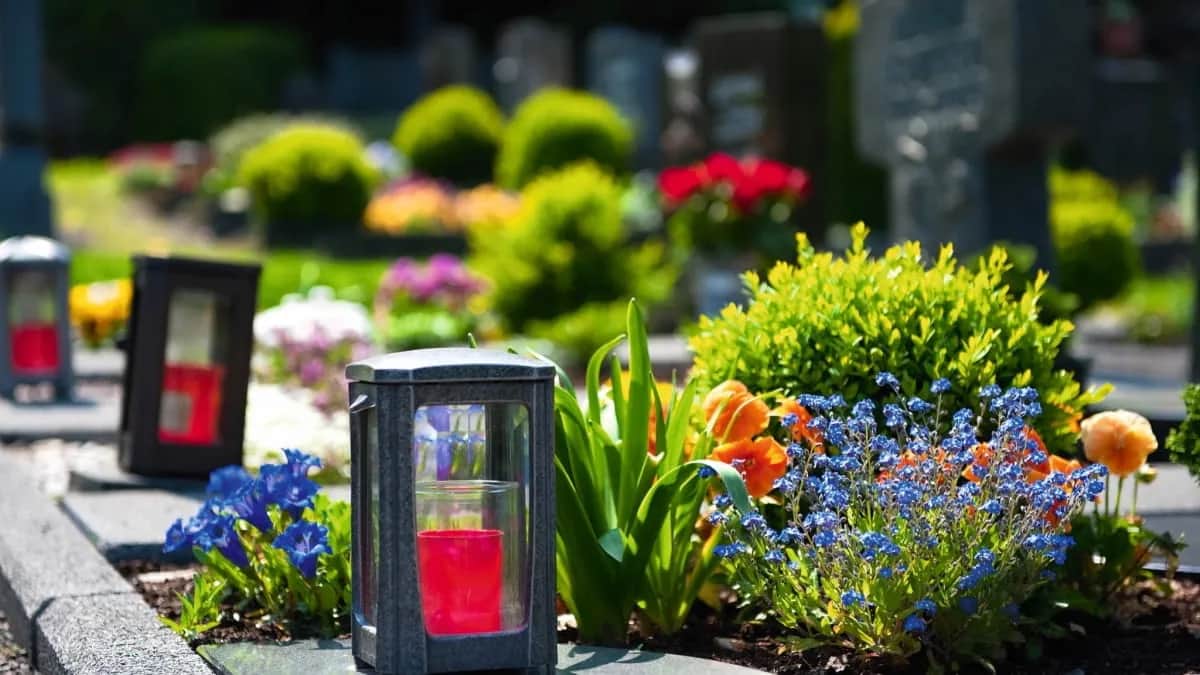 Jakie kwiaty posadzić na cmentarzu, aby uczcić bliskich i zadbać o grób